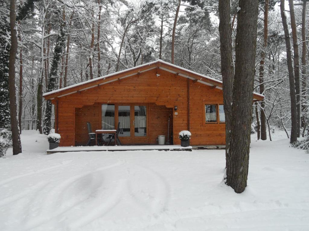Bospark De Brenkberg Schinveld Екстер'єр фото