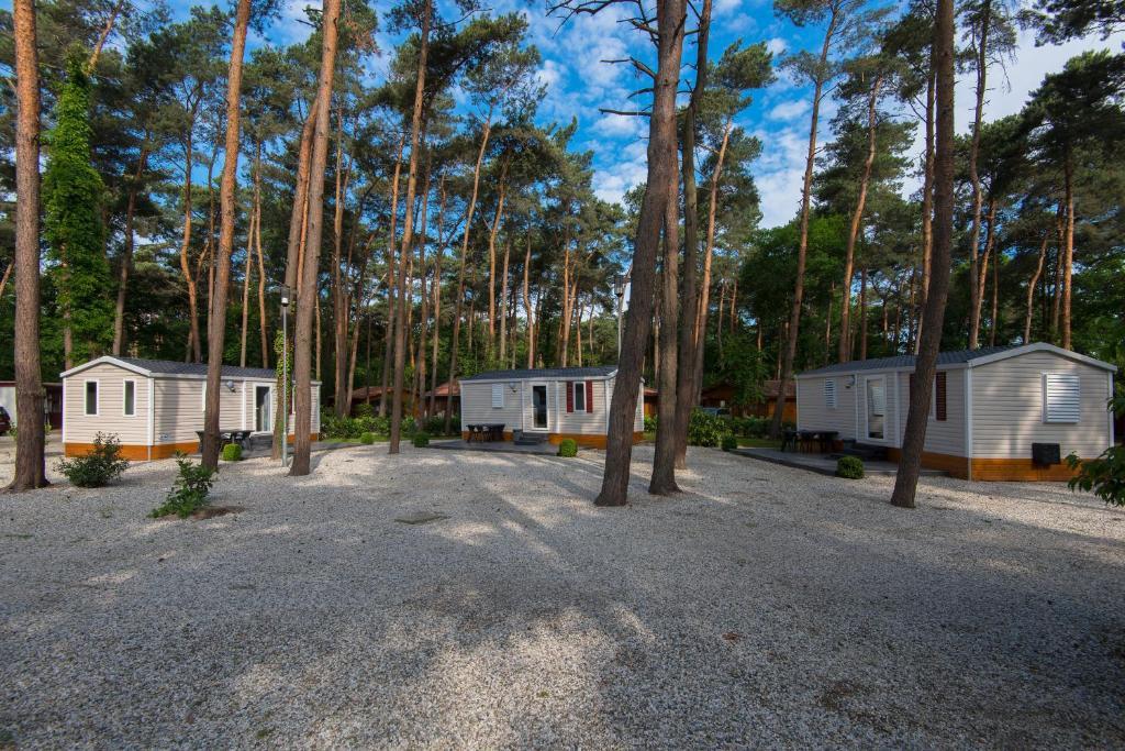 Bospark De Brenkberg Schinveld Номер фото